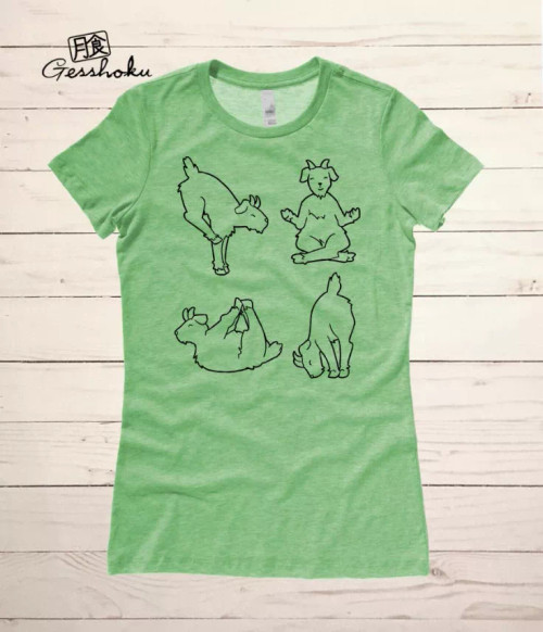 Yoga Goats Women's T-Shirt - 1898-1898237