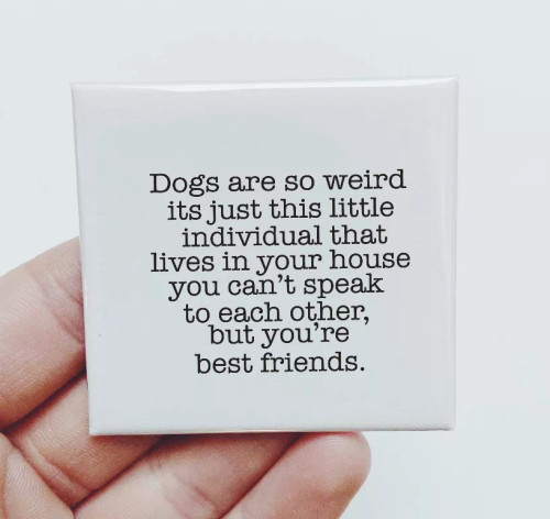 Dogs Are So Weird Magnet