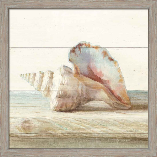 Driftwood Shell IV by Danhui Nai, Framed Art