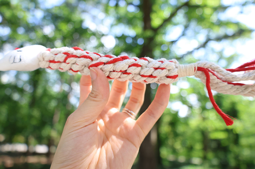 Eco-Kitty Dog Rope Plush Squeaky Toy for Puppies - S002478B002784P000028V001