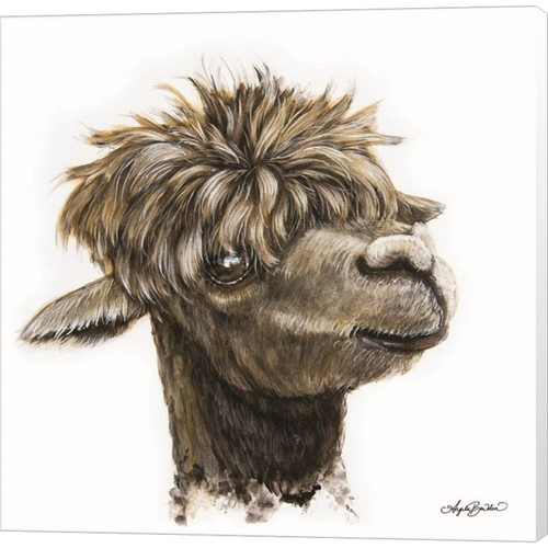 Skippy the Alpaca by Angela Bawden, Canvas Art - C1072431-0240000-ACAAAMA