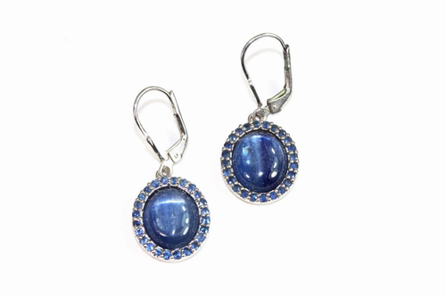 Himalayan Kyanite & Tanzanite Medley Earrings
