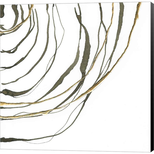Not Quite Concentric IV by Chris Paschke, Canvas Art - C1087935-0120000-8CAAAMA