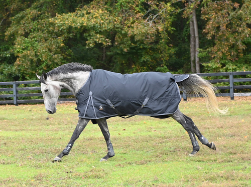 Gatsby 600D Waterproof Turnout Sheet - S000164B000551P000332V000