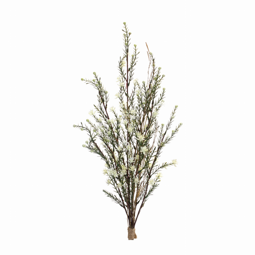 Leptospermum Bundle (Set of 6)  26.25"H Plastic