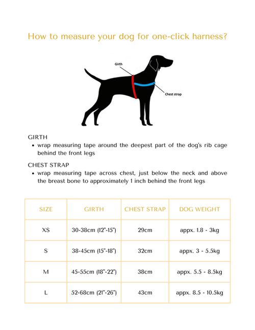 Medallion One-click Dog Harness - PuccissimePet000365 Medallion One-click Dog Harness - PuccissimePet000365