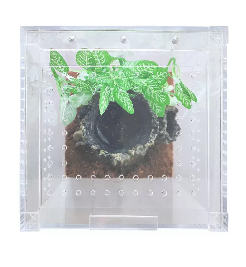 Acrylic Enclosure Small Tall