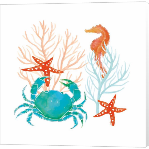 Coral Aqua VII by Tara Reed, Canvas Art