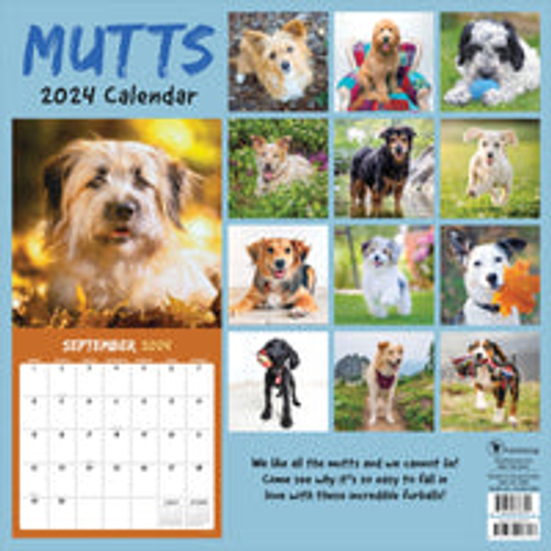 2024 Mutts Wall Calendar - S002376B002649P000250V002