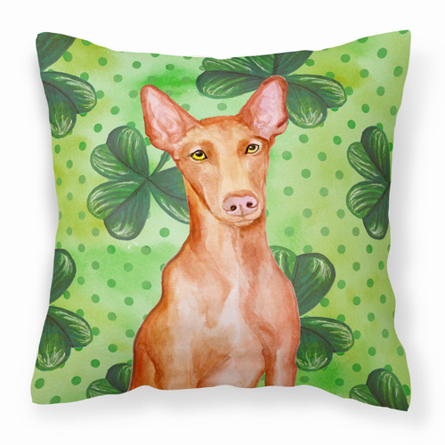 St Patrick's With Dog Fabric Decorative Pillow - S000213B001695P114362V000