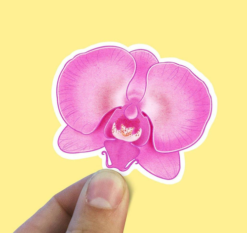Pink Orchid Vinyl Sticker Pink Orchid Vinyl Sticker