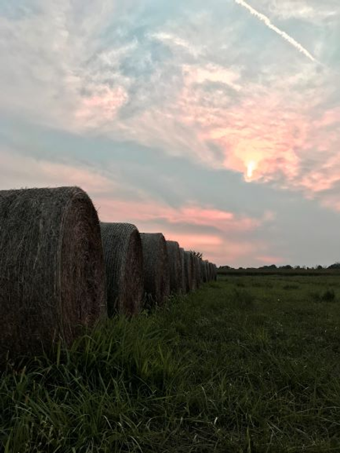 Bales Ready Puzzle - S001743B002210P000082V004 Bales Ready Puzzle - S001743B002210P000082V004