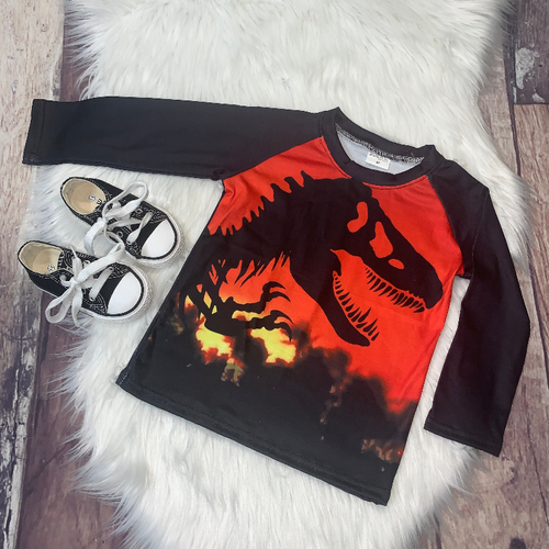 Printed Long Sleeve Dino Raglan - S001571B002410P000033V030