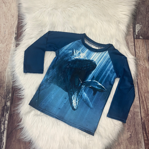 Printed Long Sleeve Dino Raglan - S001571B002410P000033V039