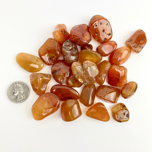 Carnelian "Natural" | Tumbled | 15-25mm | Carnelian "Natural" | Tumbled | 15-25mm |