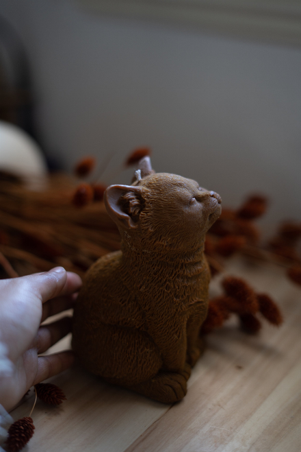 Meow Candle Collection - 12820197-2