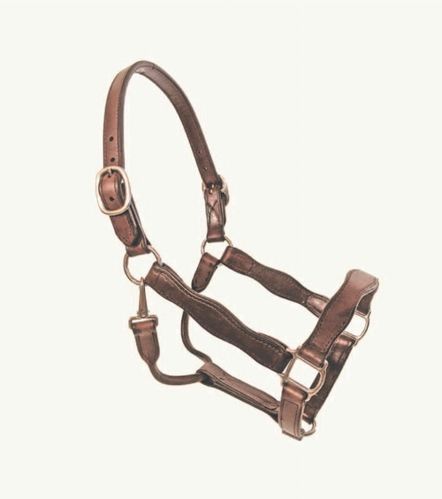 Scalloped Leather Halter Scalloped Leather Halter