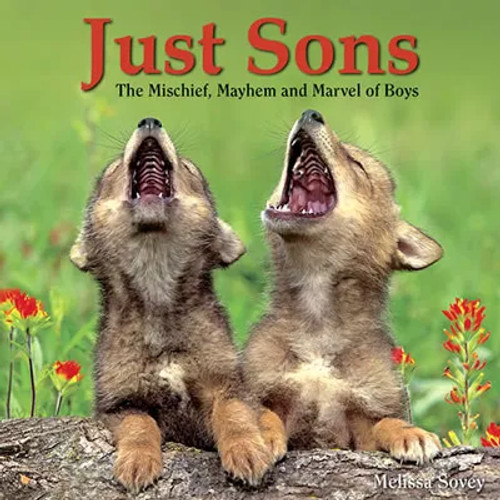 Just Sons