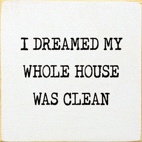 I Dreamed My Whole House Was Clean