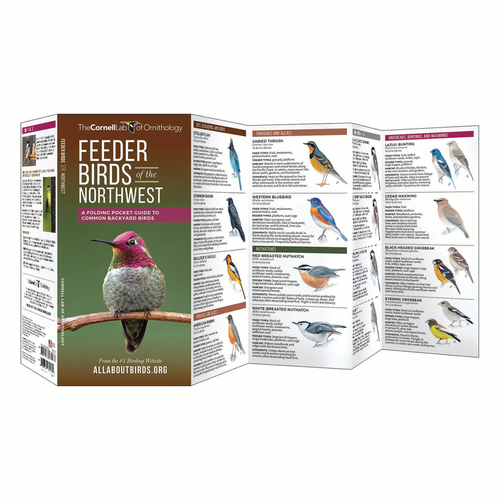 Feeder Birds of the Northwest