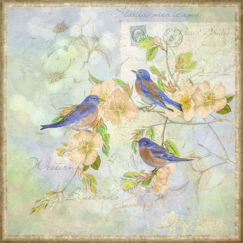 Blue Birds on Blossem Branch by Cora Niele, Framed Wall Art