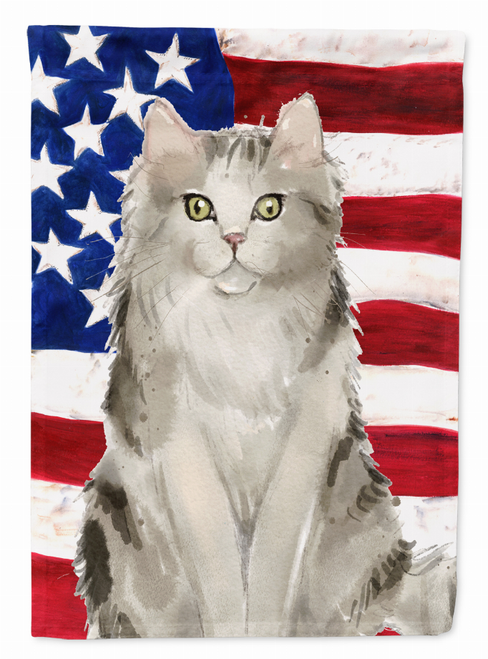 Ragamuffin American Flag Flag Canvas House Size