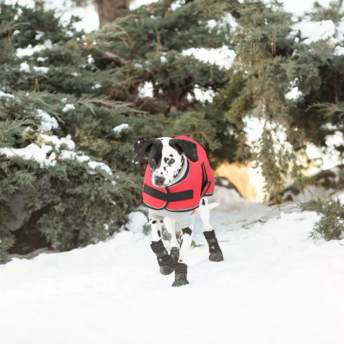 GF Pet Dog Blanket Jacket - S000568B001688P000005V012 GF Pet Dog Blanket Jacket - S000568B001688P000005V012