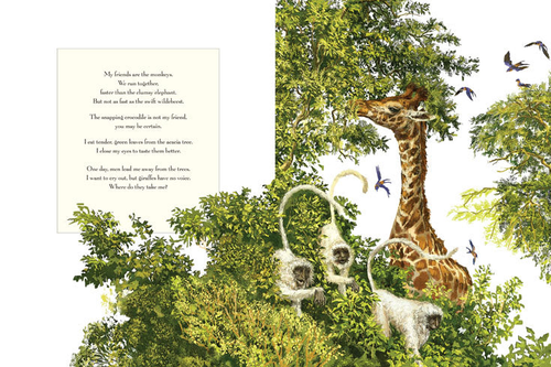 The Long Tall Journey