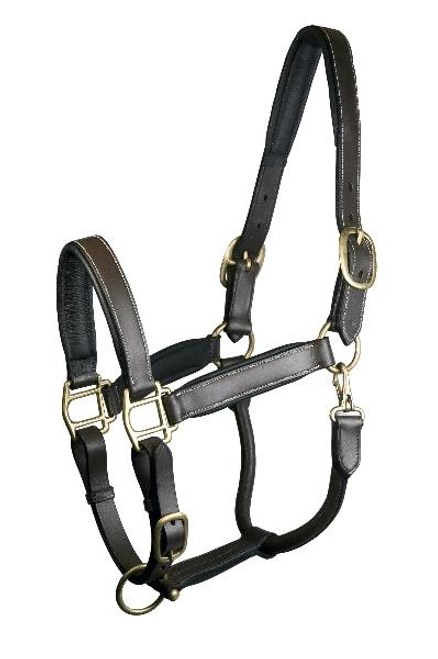 Gatsby Padded Leather Halter Fully Adjustable - 5-110650