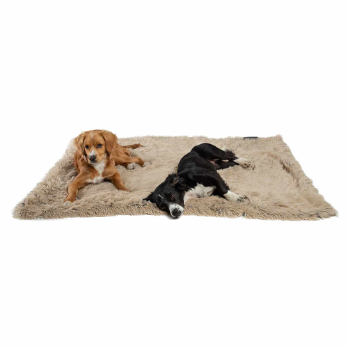 Best Friends by Sheri Blanket Shag - OH4762