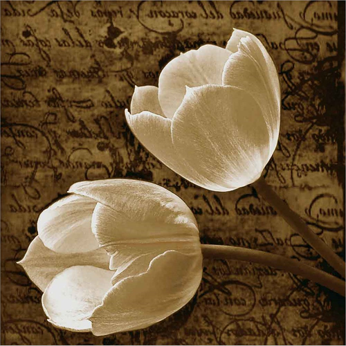 With Love I by Ily Szilagyi, Framed Wall Art