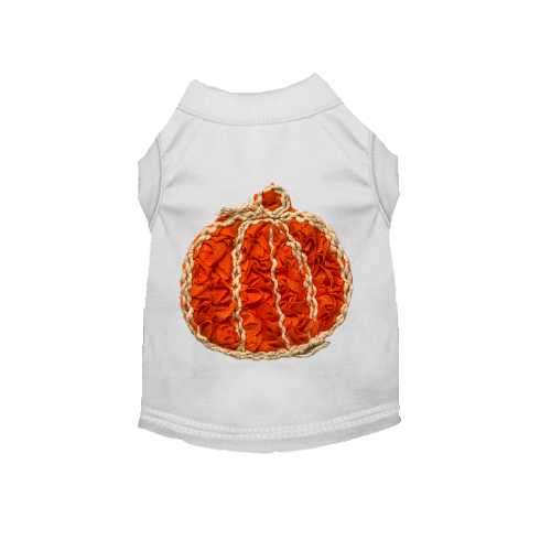Chiffon Rose Halloween Pumpkin Shirt - S002142B002493P000426V004