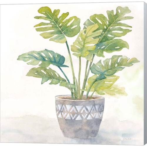 Houseplant III-Split Leaf Philodendron by Cynthia Coulter, Canvas Art - C1080232-0120000-ACCQAMA