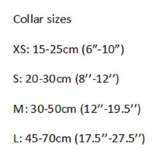 Champagne Dog Collar - PuccissimePet000375 Champagne Dog Collar - PuccissimePet000375