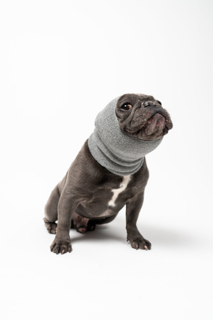 PET HOODZ DOG HOODIES FOR ANXIETY - S002439B002694P000004V004