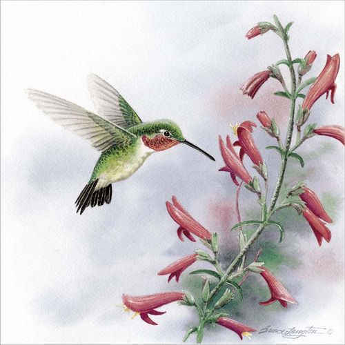 Harmony in Motion I by Bruce Langton, Canvas Art - C1086683-0240000-ACCQAMA