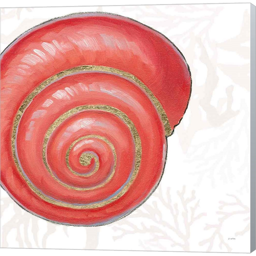 Shimmering Shells VII by James Wiens, Canvas Art - C1079547-0240000-ACCQAMA