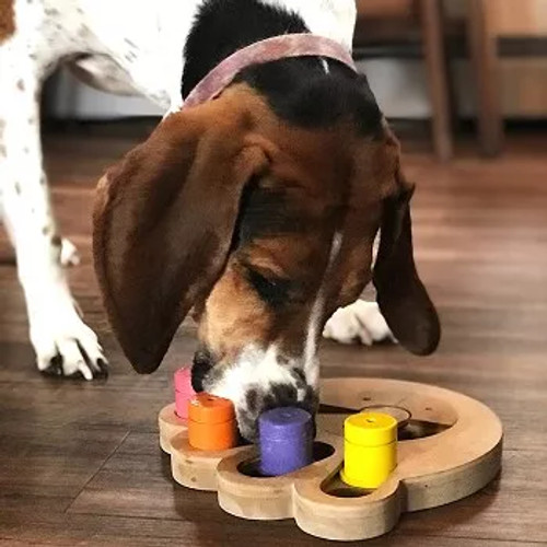 Brainiac  Interactive Pet Toy