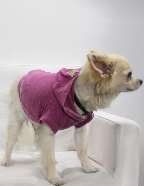 Doggy Hoodie French Terry - S000341B001390P000003V021