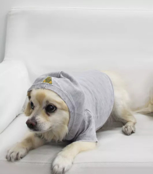 Doggy Hoodie French Terry - S000341B001390P000003V005