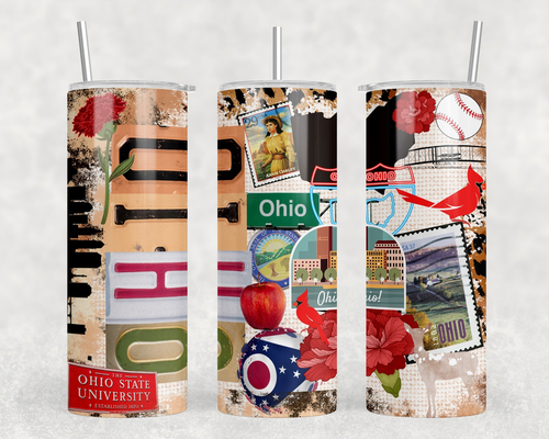 Ohio - 20 oz Steel Skinny Tumbler - Optional Blue Tooth Speaker - Speaker Color will Vary