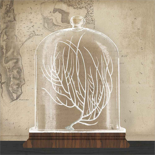 Coral Cloche II by Wild Apple Portfolio, Canvas Art - C1084777-0120000-AAAACMA