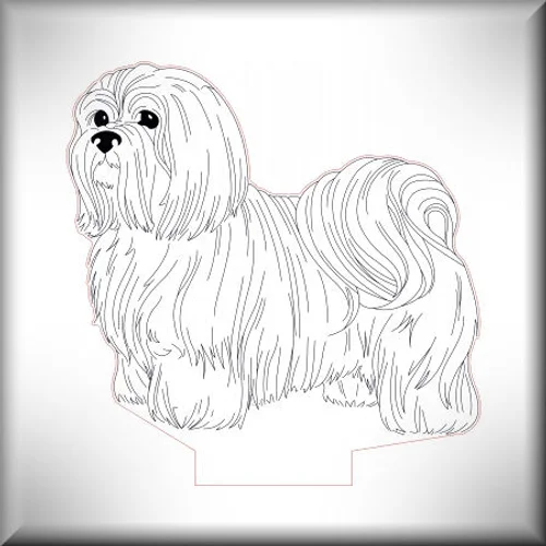 Shih Tzu - Ani-005-3