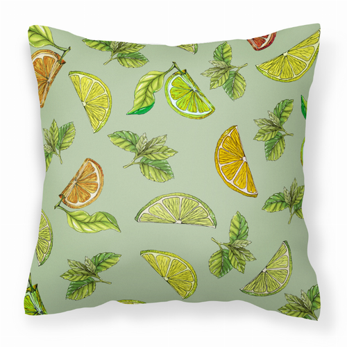 Fruits Art Canvas Decorative Pillow - BB5206PW1414