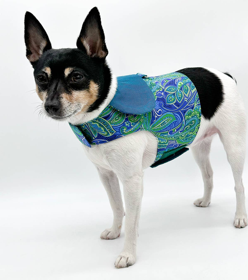 DCNY "Pretty in Paisley" Vest-Style Harness - dcny-bgpvest-xxs