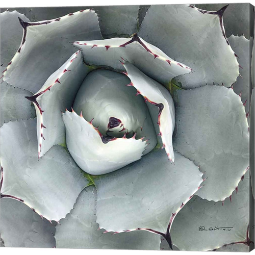 Cactus Verde I by Ed Goldstein, Canvas Art