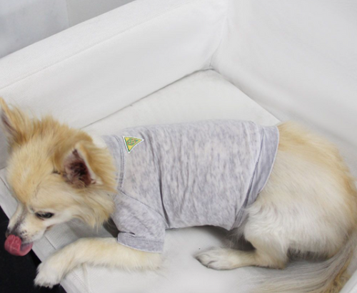 Doggy Tee - S000341B001390P000001V003
