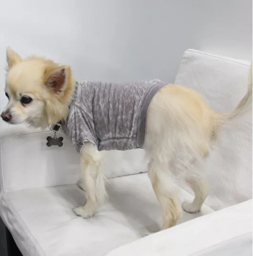 Doggy Tee - S000341B001390P000001V009