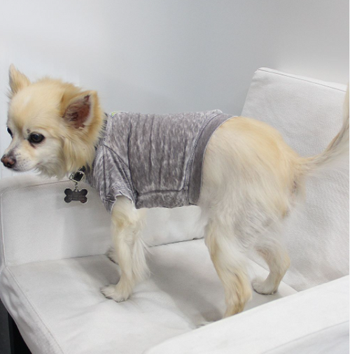 Doggy Tee - S000341B001390P000001V013