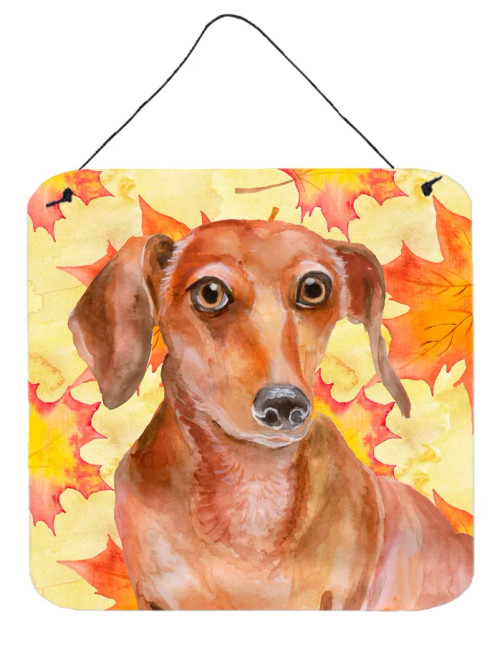Dachshund - Red Wall or Door Hanging Prints